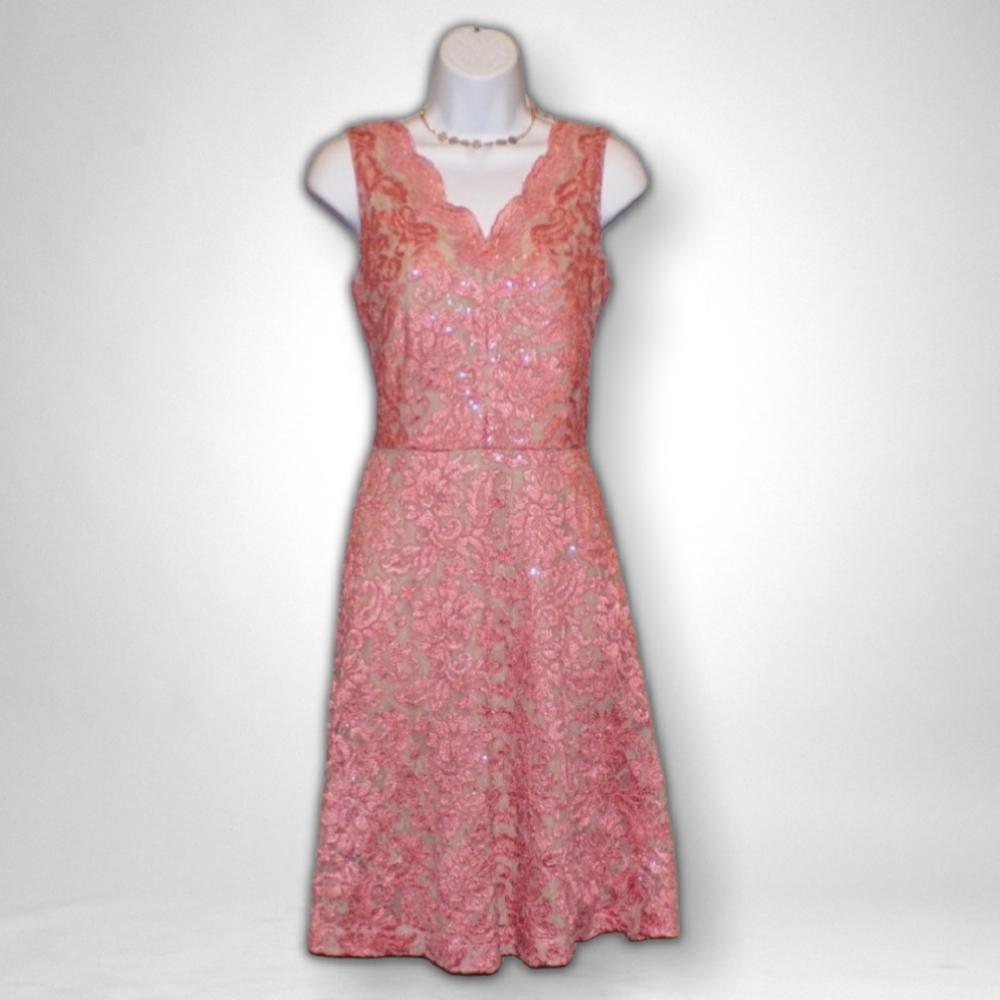 NWOT Ellen Tracy Corded Lace Dress